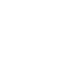 Logo Architect An Pittoors